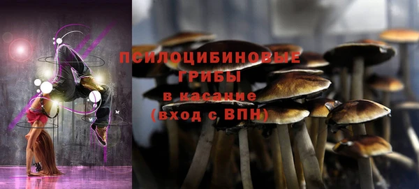соль курить ск Алексеевка